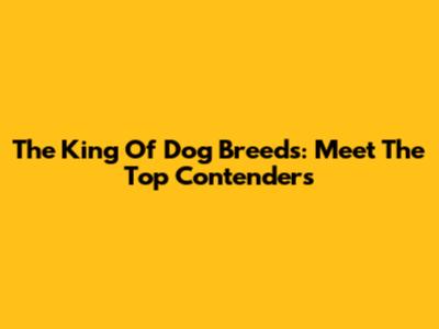 The King Of Dog Breeds: Meet The Top Contenders