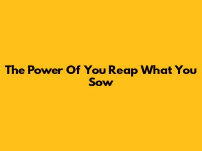 The Power Of 'You Reap What You Sow'