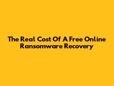 The Real Cost Of A "Free" Online Ransomware Recovery