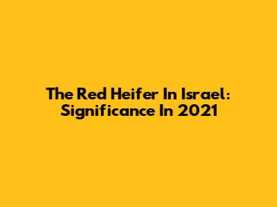 The Red Heifer In Israel: Significance In 2021