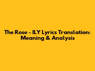 The Rose - ILY Lyrics Translation: Meaning & Analysis