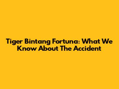 Tiger Bintang Fortuna: What We Know About The Accident