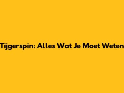 Tijgerspin: Alles Wat Je Moet Weten