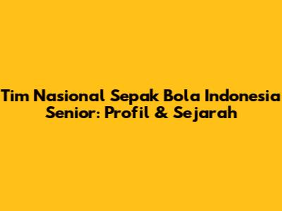 Tim Nasional Sepak Bola Indonesia Senior: Profil & Sejarah