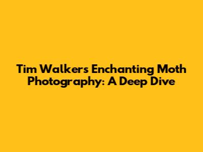 Tim Walker's Enchanting Moth Photography: A Deep Dive