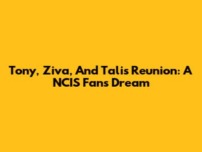 Tony, Ziva, And Tali's Reunion: A NCIS Fan's Dream