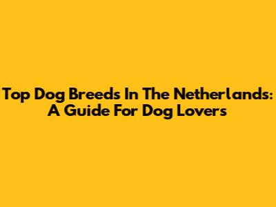 Top Dog Breeds In The Netherlands: A Guide For Dog Lovers