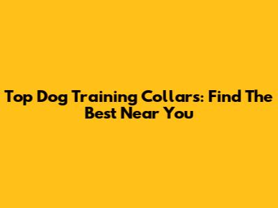 Top Dog Training Collars: Find The Best Near You