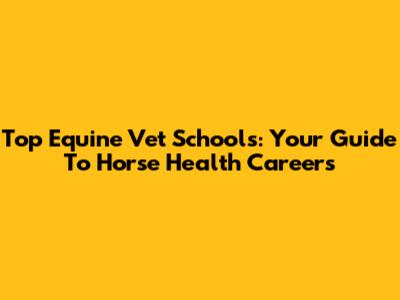Top Equine Vet Schools: Your Guide To Horse Health Careers