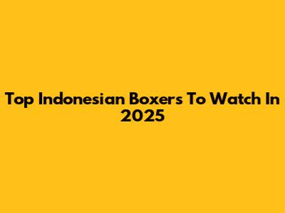 Top Indonesian Boxers To Watch In 2025