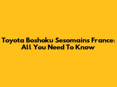 Toyota Boshoku Sesomains France: All You Need To Know