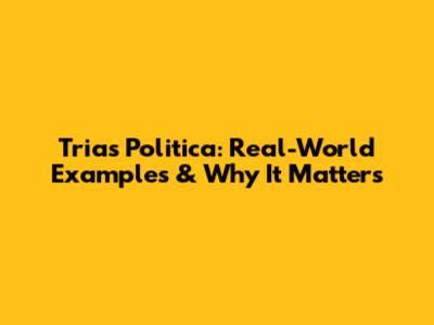 Trias Politica: Real-World Examples & Why It Matters