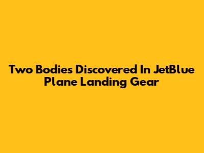 Two Bodies Discovered In JetBlue Plane Landing Gear