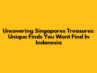 Uncovering Singapore's Treasures: Unique Finds You Won't Find In Indonesia