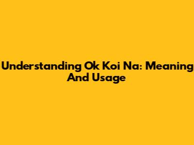 Understanding "Ok Koi Na": Meaning And Usage