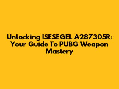 Unlocking ISESEGEL A287305R: Your Guide To PUBG Weapon Mastery