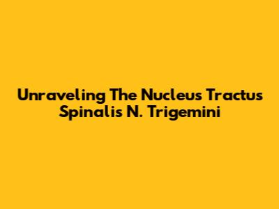 Unraveling The Nucleus Tractus Spinalis N. Trigemini