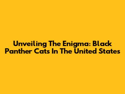 Unveiling The Enigma: Black Panther Cats In The United States