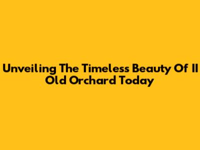 Unveiling The Timeless Beauty Of II Old Orchard Today