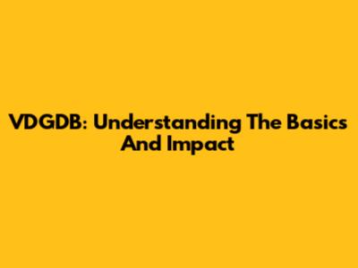 VDGDB: Understanding The Basics And Impact