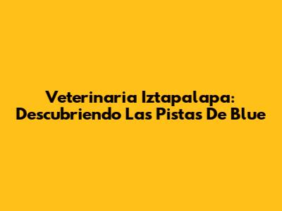 Veterinaria Iztapalapa: Descubriendo Las Pistas De Blue