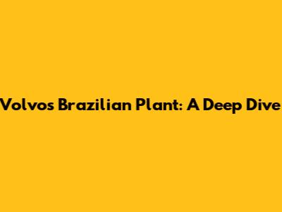 Volvo's Brazilian Plant: A Deep Dive