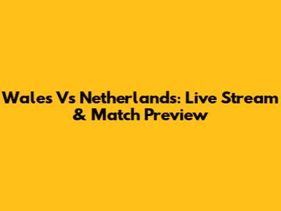 Wales Vs Netherlands: Live Stream & Match Preview
