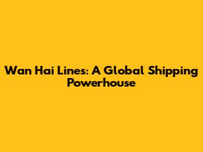 Wan Hai Lines: A Global Shipping Powerhouse