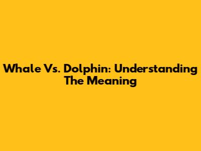 Whale Vs. Dolphin: Understanding The Meaning