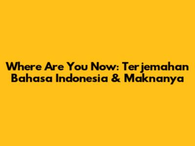 Where Are You Now: Terjemahan Bahasa Indonesia & Maknanya