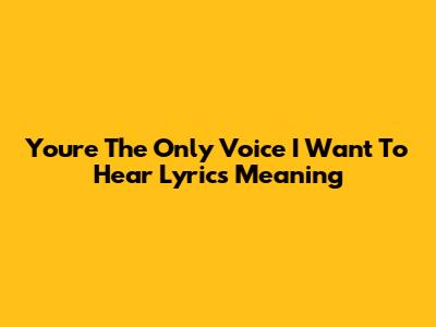 You're The Only Voice I Want To Hear Lyrics Meaning