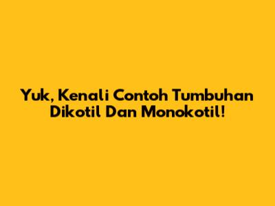 Yuk, Kenali Contoh Tumbuhan Dikotil Dan Monokotil!