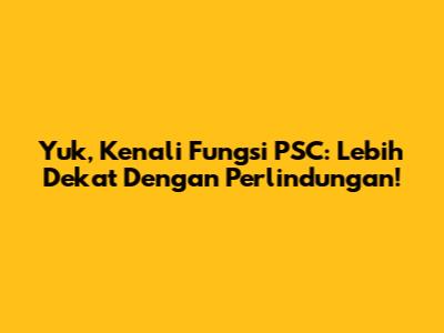 Yuk, Kenali Fungsi PSC: Lebih Dekat Dengan Perlindungan!