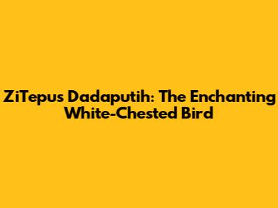 ZiTepus Dadaputih: The Enchanting White-Chested Bird