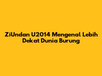ZiUndan U2014 Mengenal Lebih Dekat Dunia Burung